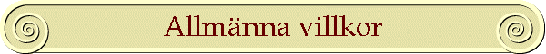Allmnna villkor